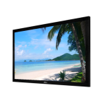 Dahua LM32-S200 32'' FHD Monitor