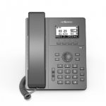 Flyingvoice P10 High Performance Entry-level IP Phone