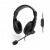 Rapoo H150S Wired USB Headset with Microphone image